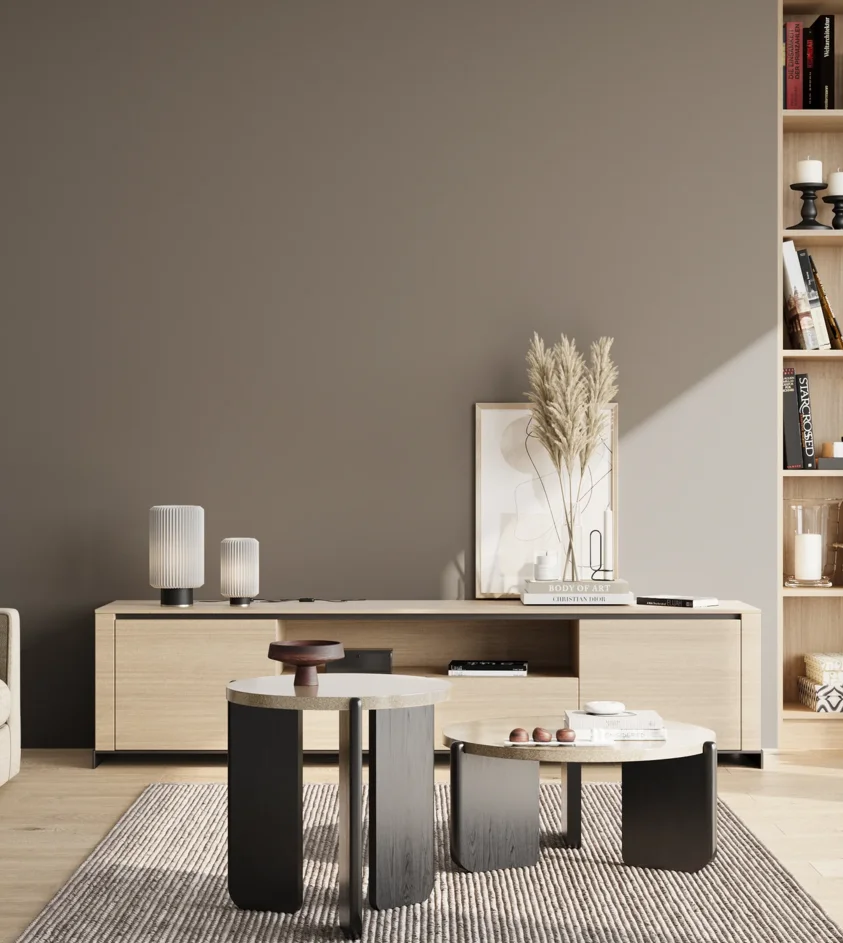 P10_SNIEZKA_salon_02_poludnie_GREY_S5502-Y50R