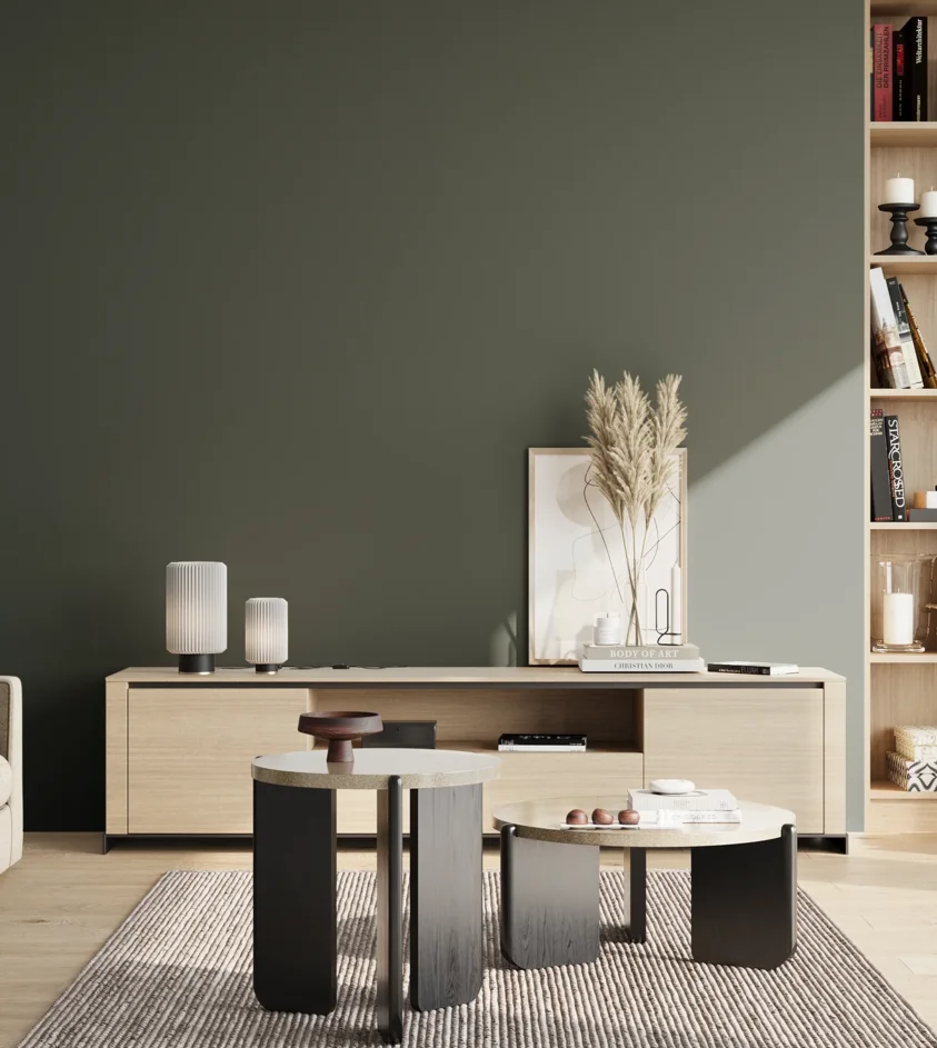 P10_SNIEZKA_salon_02_poludnie_GREY_S7005-G