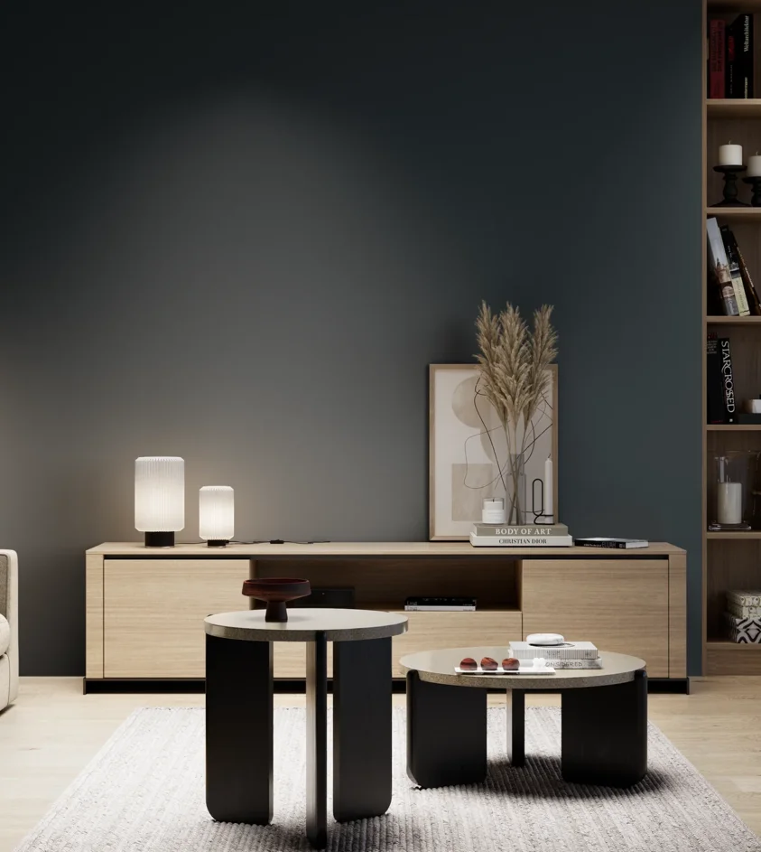 P10_SNIEZKA_salon_05_zimne_GREY_S8005-B