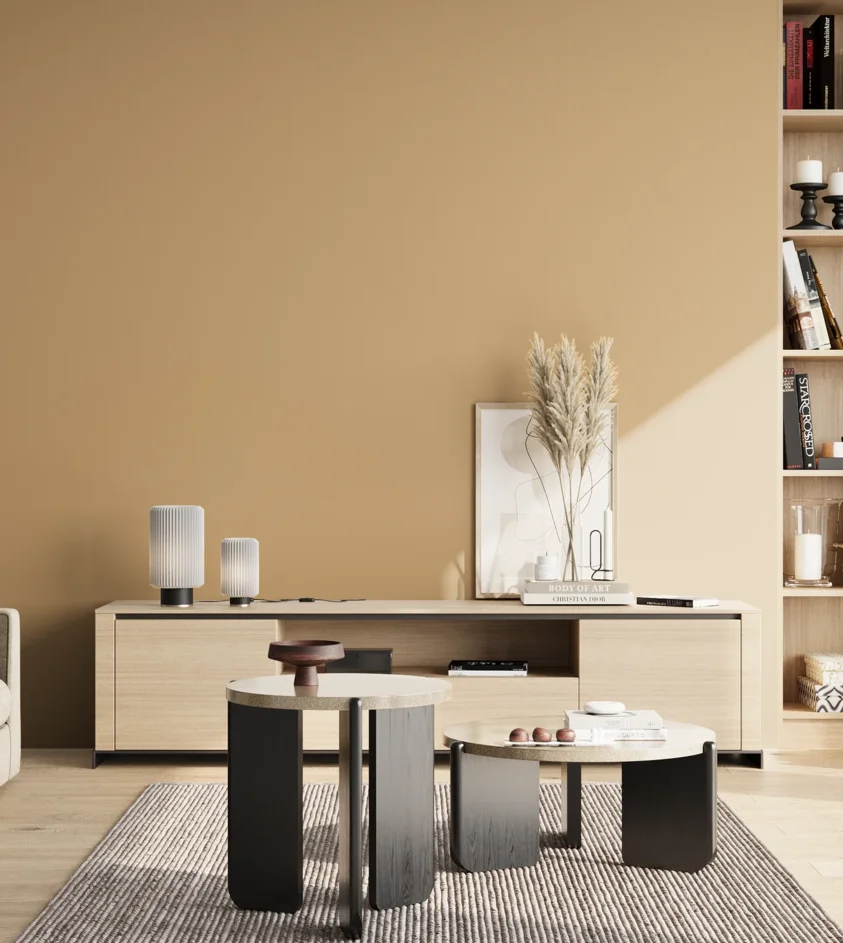 P10_SNIEZKA_salon_02_poludnie_GREY_RAL1001