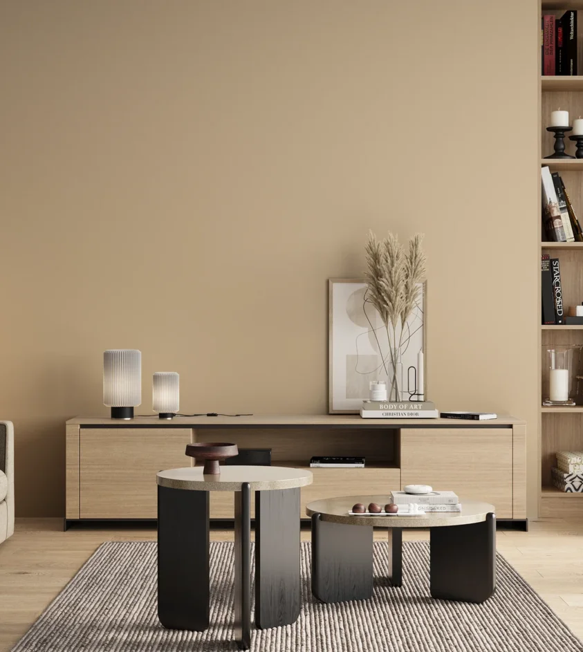 P10_SNIEZKA_salon_00_neutral_GREY_RAL1015