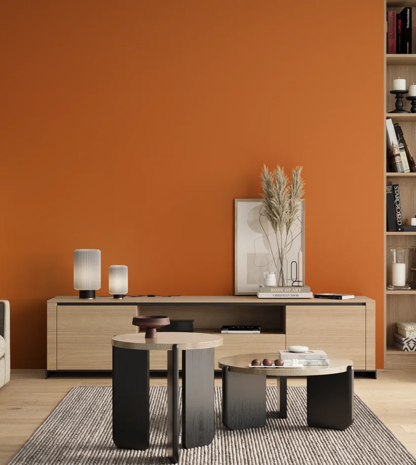 P10_SNIEZKA_salon_00_neutral_GREY_RAL2000