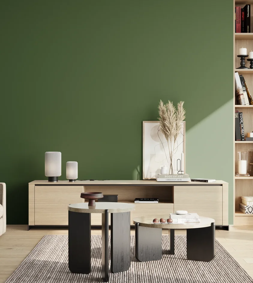 P10_SNIEZKA_salon_02_poludnie_GREY_RAL6002