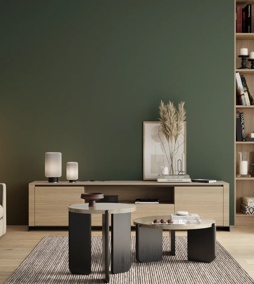 P10_SNIEZKA_salon_00_neutral_GREY_RAL6028