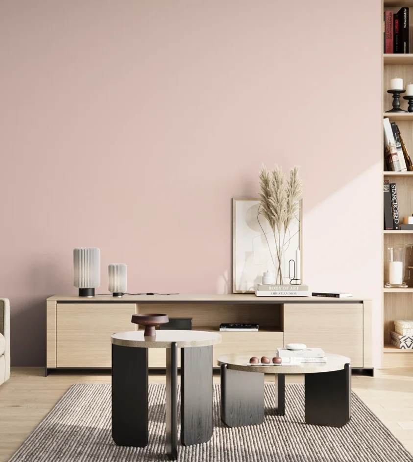 P10_SNIEZKA_salon_02_poludnie_GREY_S0510-R