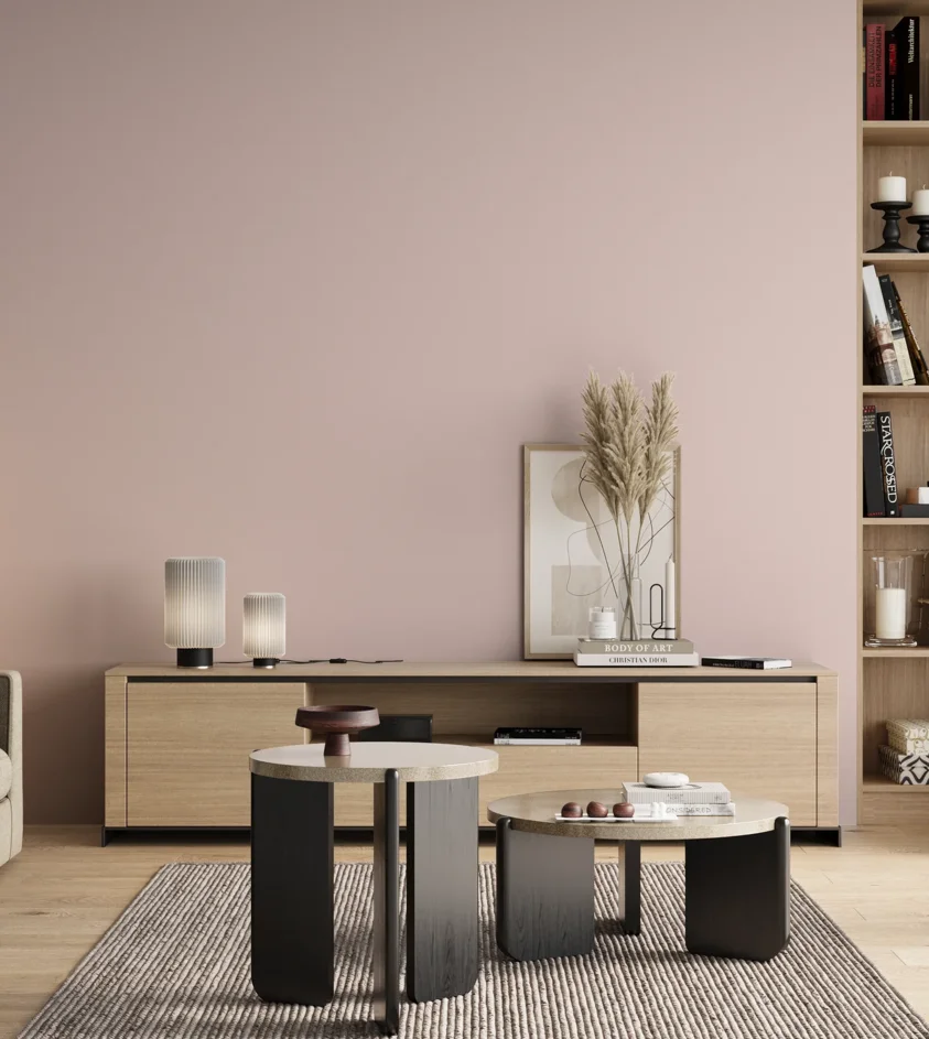 P10_SNIEZKA_salon_00_neutral_GREY_S0510-R10B