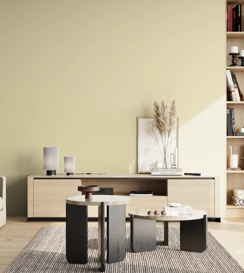 P10_SNIEZKA_salon_02_poludnie_GREY_S0510-Y
