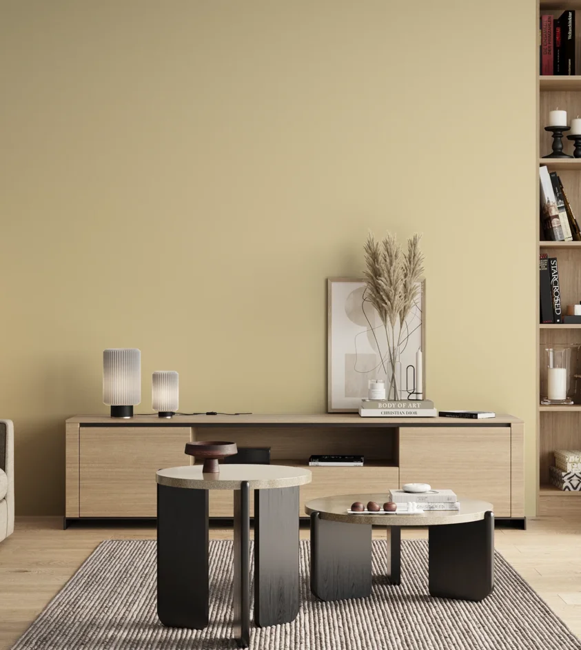 P10_SNIEZKA_salon_00_neutral_GREY_S0510-Y10R