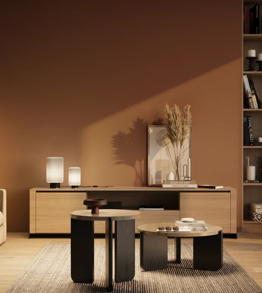 P10_SNIEZKA_salon_03_wieczor_GREY_RAL8004