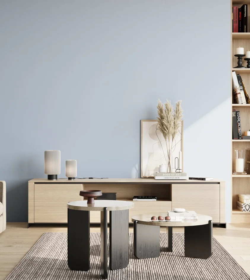 P10_SNIEZKA_salon_02_poludnie_GREY_S0515-R80B