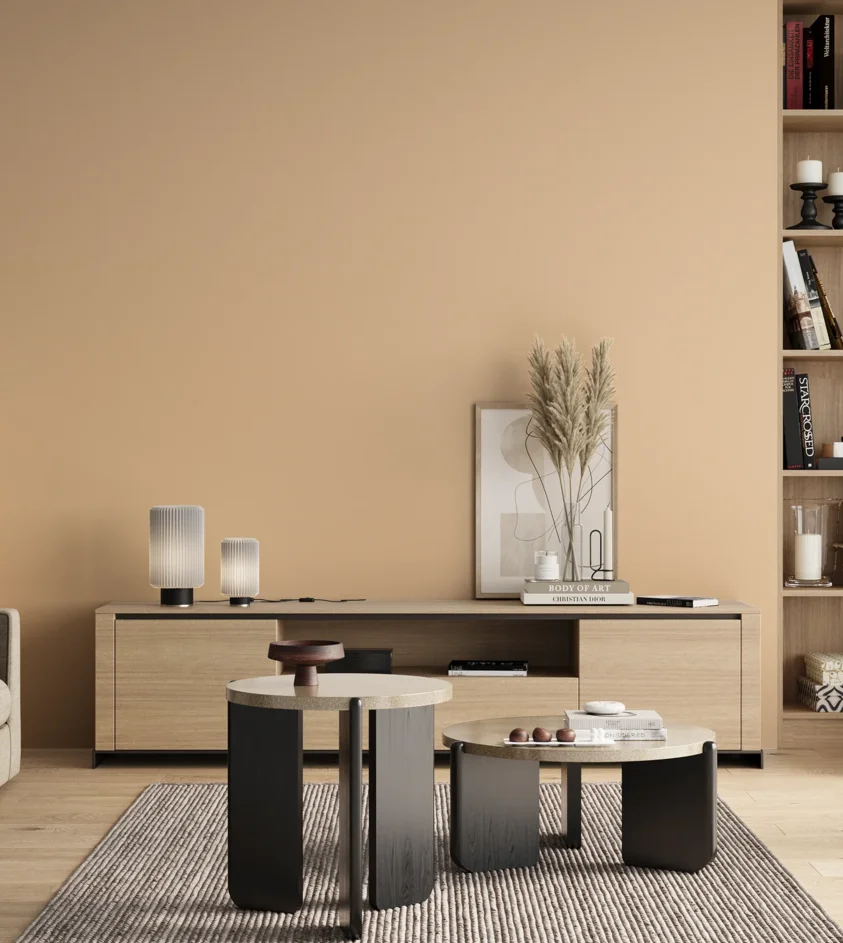 P10_SNIEZKA_salon_00_neutral_GREY_S0515-Y40R