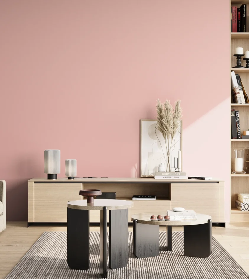 P10_SNIEZKA_salon_02_poludnie_GREY_S0520-R