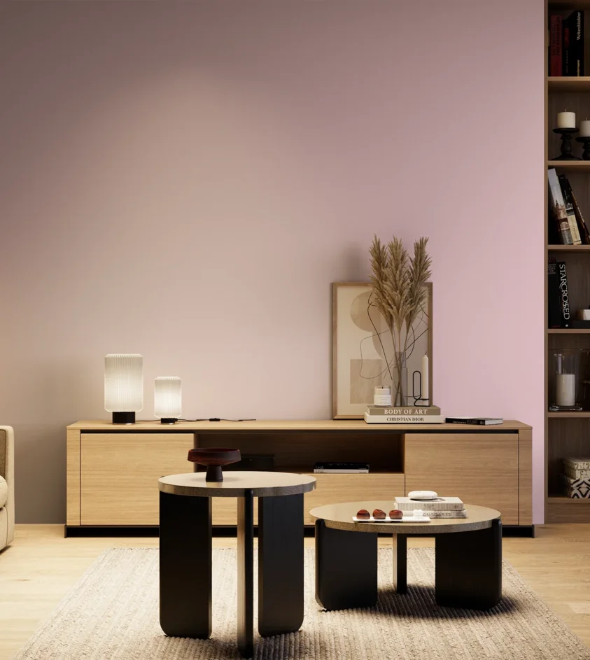 P10_SNIEZKA_salon_04_cieple_GREY_S0520-R30B