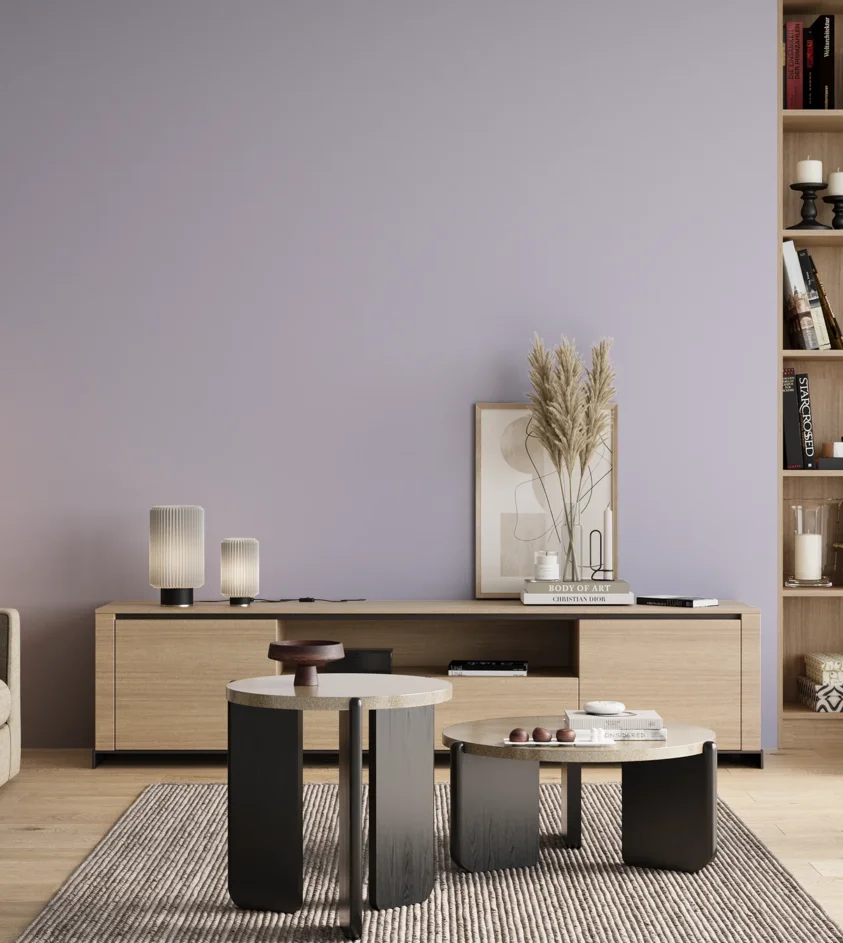 P10_SNIEZKA_salon_00_neutral_GREY_S0520-R60B