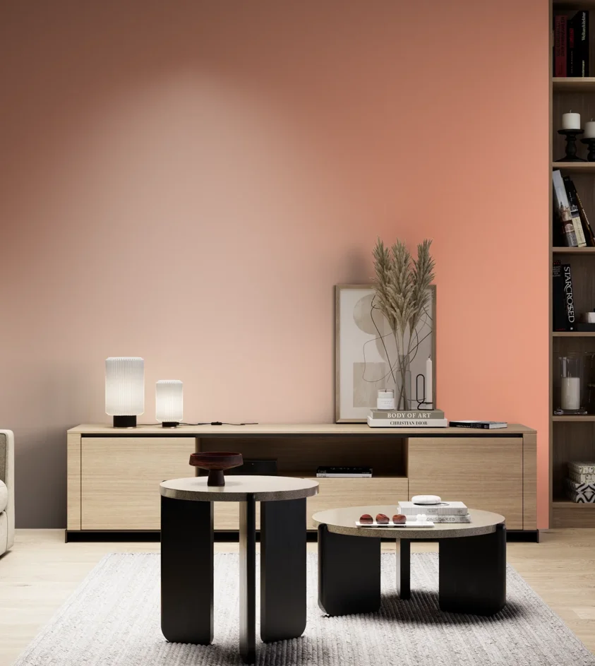 P10_SNIEZKA_salon_05_zimne_GREY_S0540-Y70R
