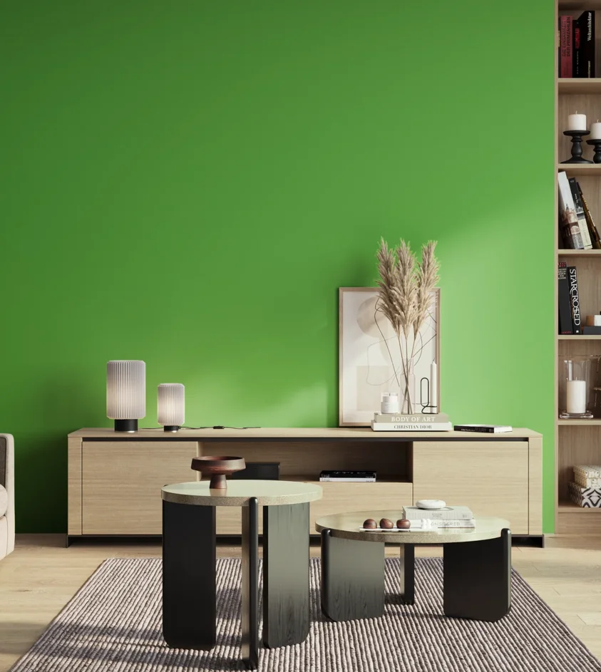 P10_SNIEZKA_salon_01_poranek_GREY_S0575-G20Y
