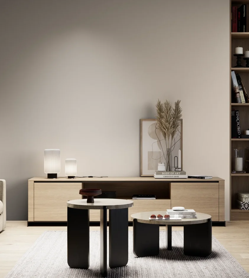 P10_SNIEZKA_salon_05_zimne_GREY_S1005-Y60R
