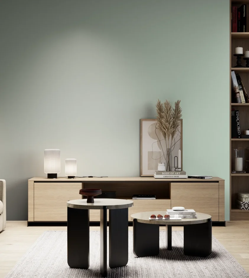 P10_SNIEZKA_salon_05_zimne_GREY_S1010-G