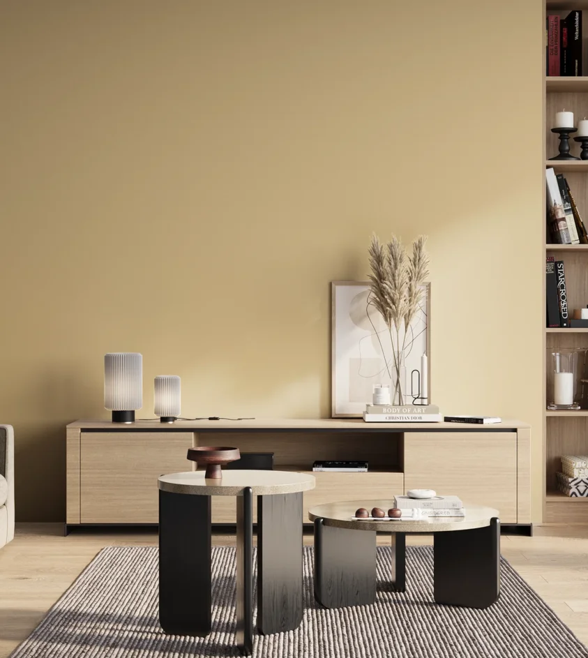 P10_SNIEZKA_salon_01_poranek_GREY_S1015-Y20R
