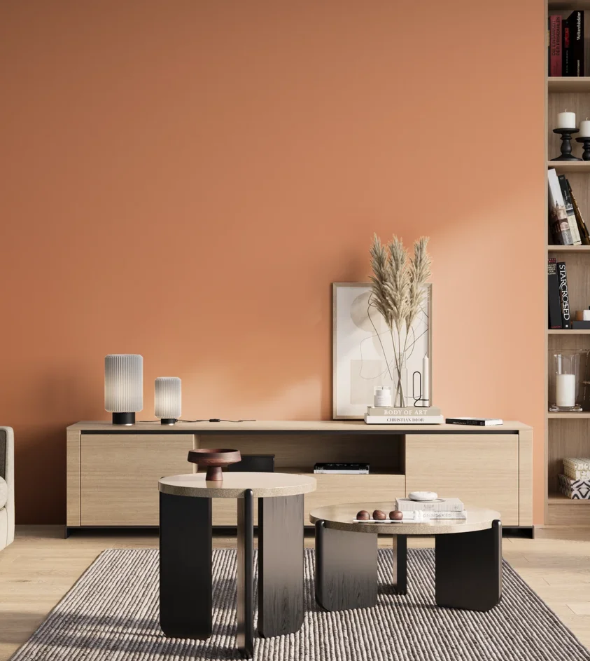 P10_SNIEZKA_salon_01_poranek_GREY_S1040-Y60R