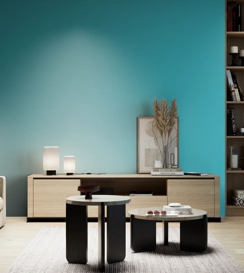 P10_SNIEZKA_salon_05_zimne_GREY_S1050-B20G