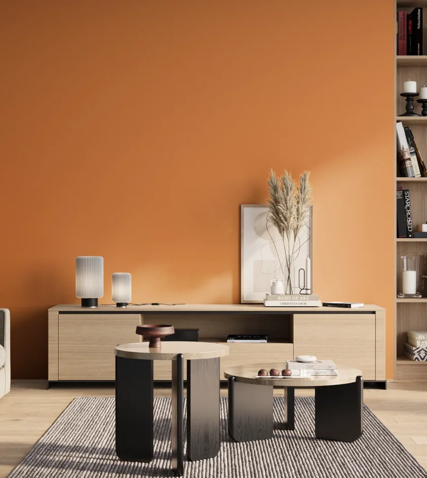 P10_SNIEZKA_salon_01_poranek_GREY_S1060-Y40R