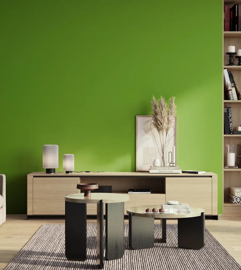 P10_SNIEZKA_salon_01_poranek_GREY_S1080-G30Y