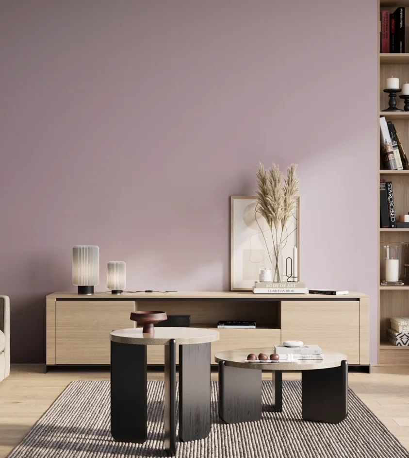 P10_SNIEZKA_salon_01_poranek_GREY_S1515-R40B
