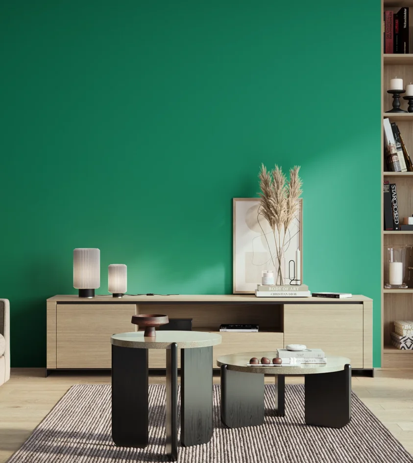 P10_SNIEZKA_salon_01_poranek_GREY_S2060-B90G