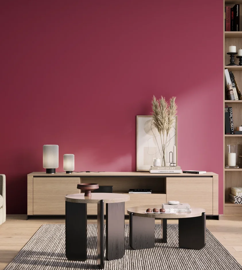 P10_SNIEZKA_salon_01_poranek_GREY_S2065-R20B