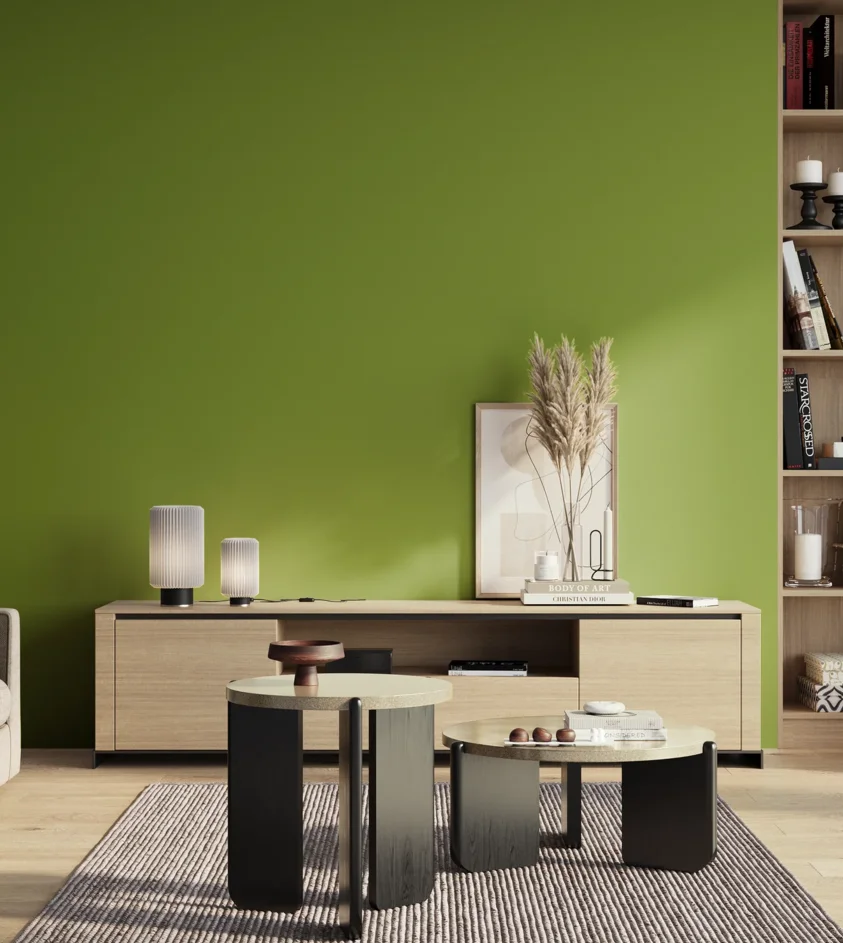 P10_SNIEZKA_salon_01_poranek_GREY_S2070-G40Y