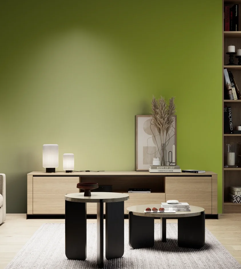 P10_SNIEZKA_salon_05_zimne_GREY_S2070-G50Y