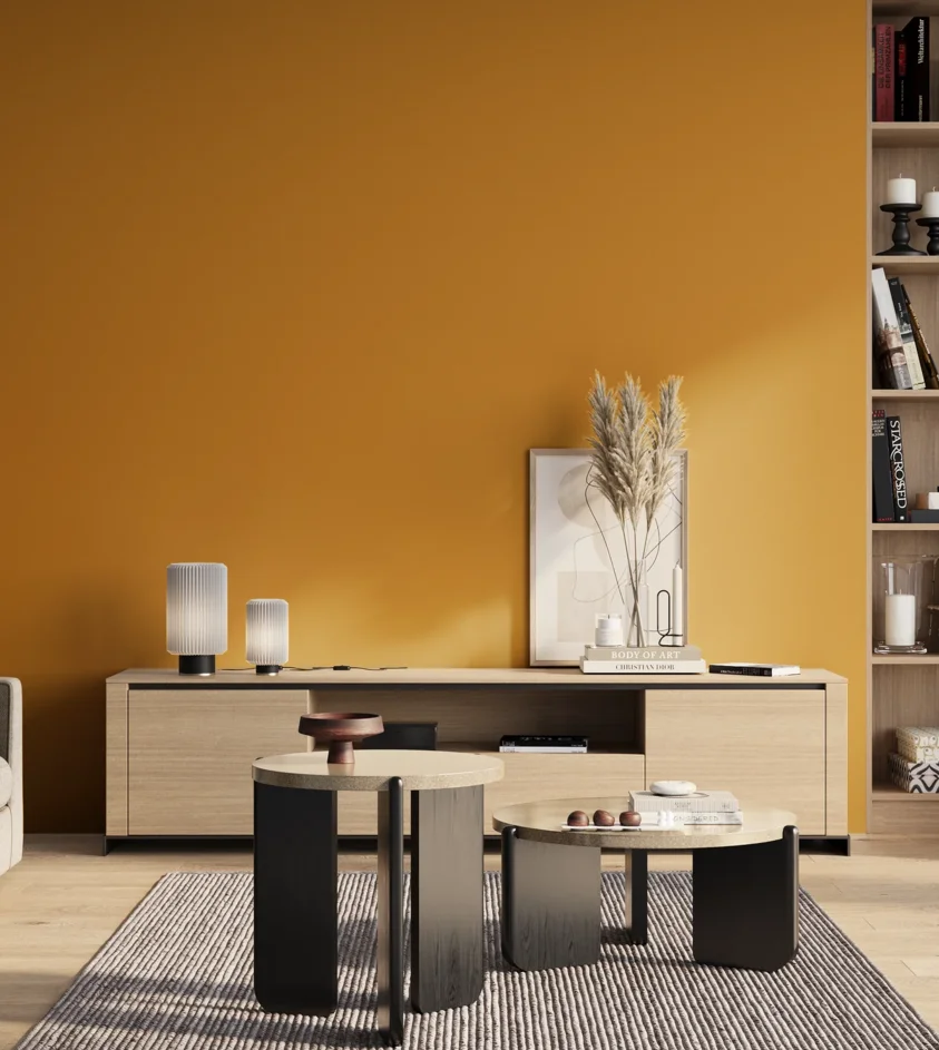 P10_SNIEZKA_salon_01_poranek_GREY_S2070-Y20R