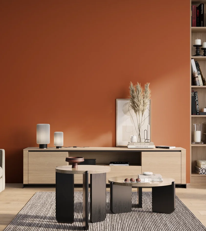 P10_SNIEZKA_salon_01_poranek_GREY_S2570-Y60R