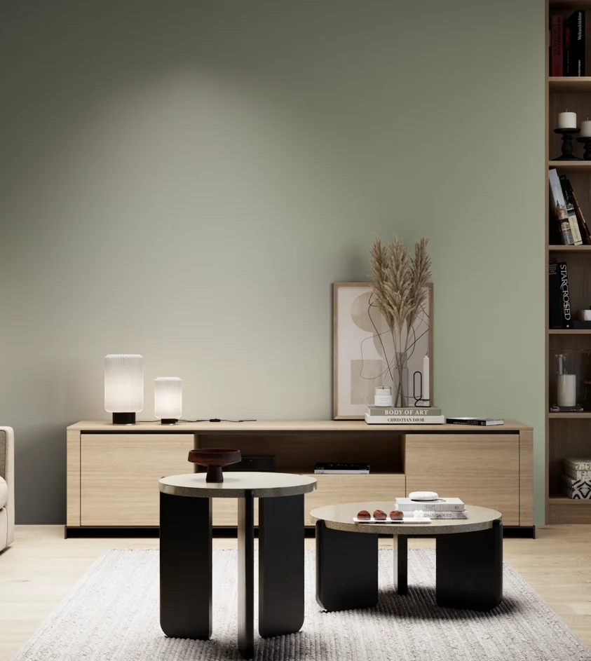 P10_SNIEZKA_salon_05_zimne_GREY_S3010-G40Y