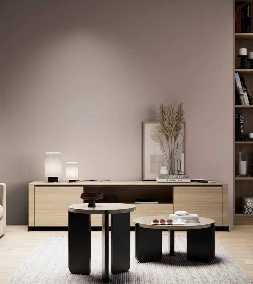 P10_SNIEZKA_salon_05_zimne_GREY_S3010-Y90R