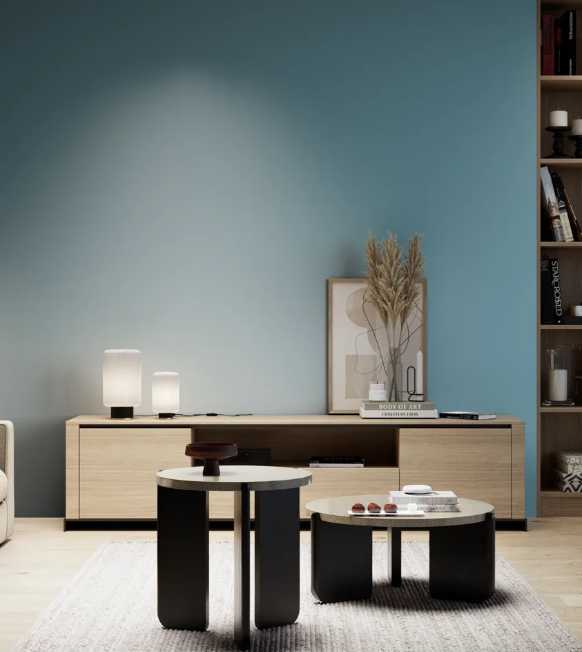 P10_SNIEZKA_salon_05_zimne_GREY_S3030-B10G