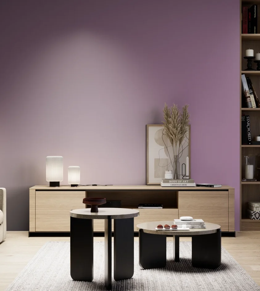 P10_SNIEZKA_salon_05_zimne_GREY_S3030-R40B