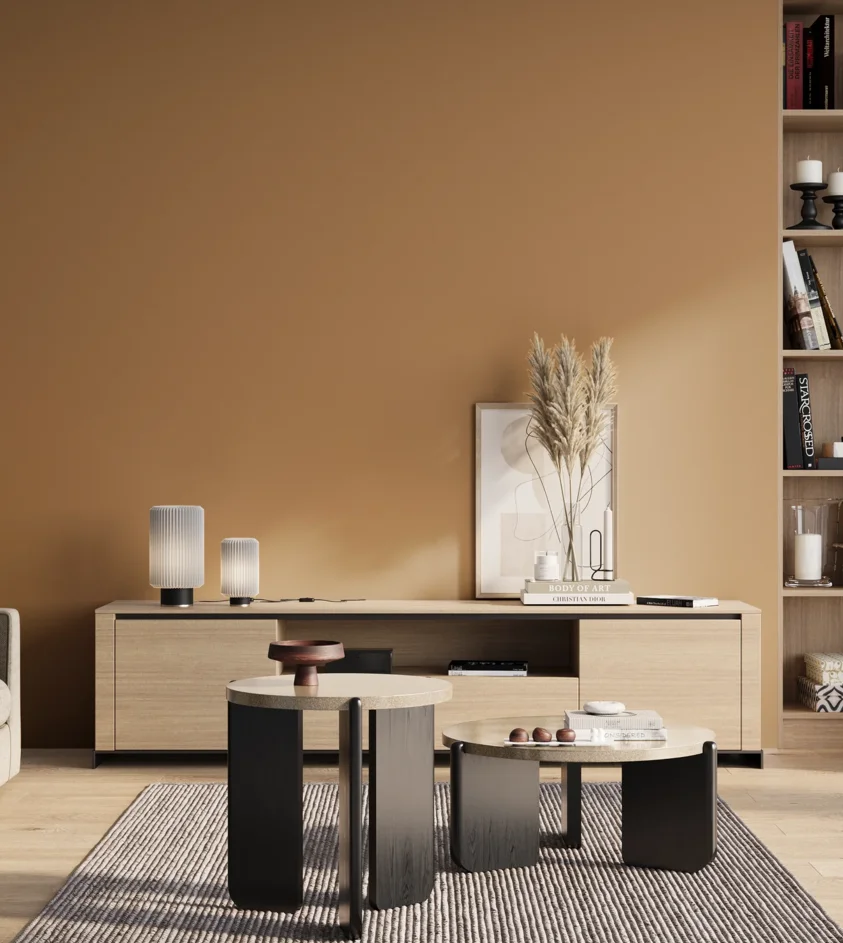 P10_SNIEZKA_salon_01_poranek_GREY_S3030-Y30R