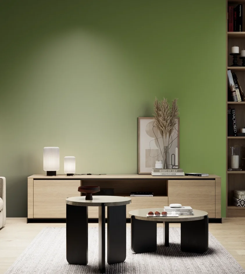 P10_SNIEZKA_salon_05_zimne_GREY_S3050-G40Y
