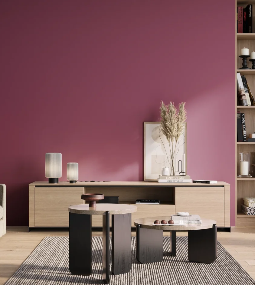 P10_SNIEZKA_salon_01_poranek_GREY_S3050-R30B