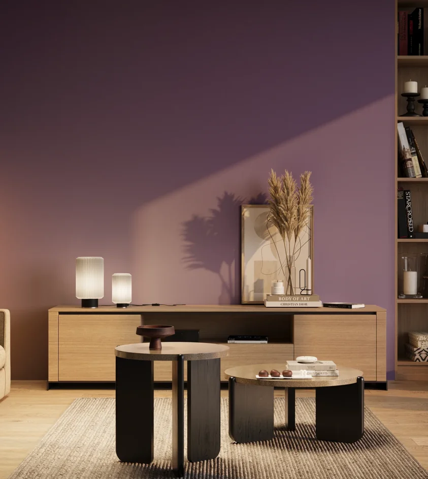 P10_SNIEZKA_salon_03_wieczor_GREY_S3050-R60B