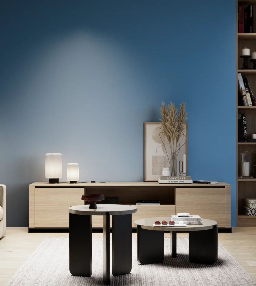 P10_SNIEZKA_salon_05_zimne_GREY_S3050-R90B