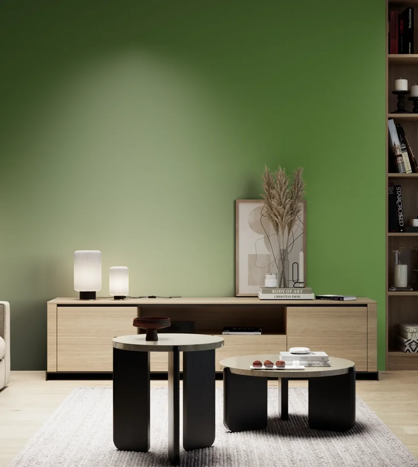 P10_SNIEZKA_salon_05_zimne_GREY_S3060-G30Y