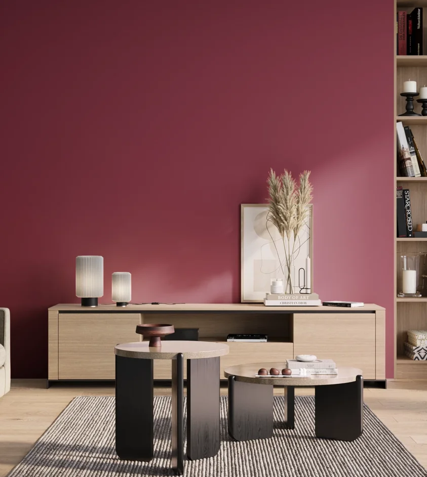 P10_SNIEZKA_salon_01_poranek_GREY_S3060-R20B