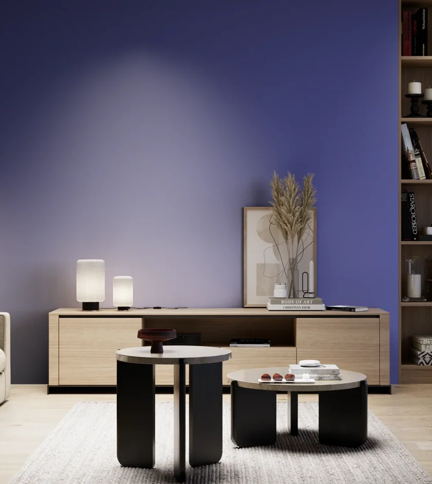 P10_SNIEZKA_salon_05_zimne_GREY_S3060-R70B
