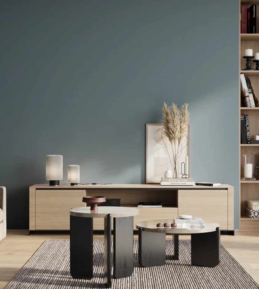 P10_SNIEZKA_salon_01_poranek_GREY_S4020-B