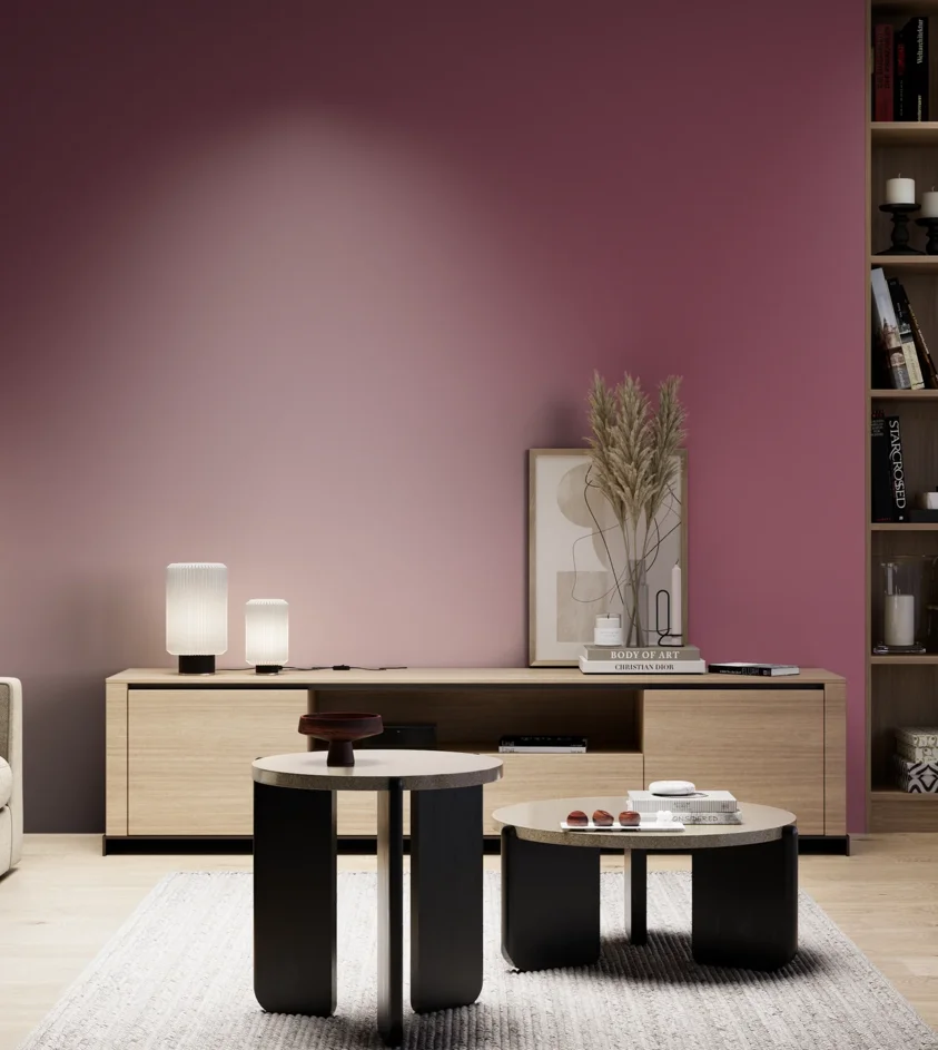P10_SNIEZKA_salon_05_zimne_GREY_S4040-R20B
