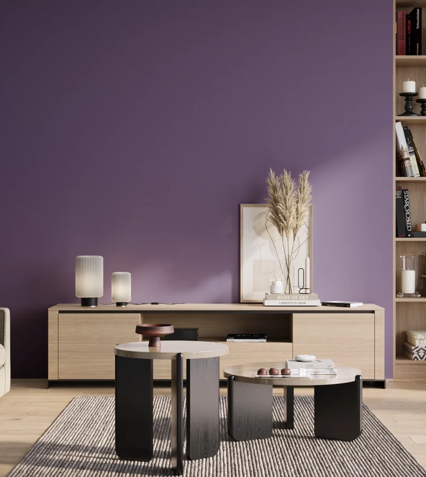 P10_SNIEZKA_salon_01_poranek_GREY_S4040-R60B