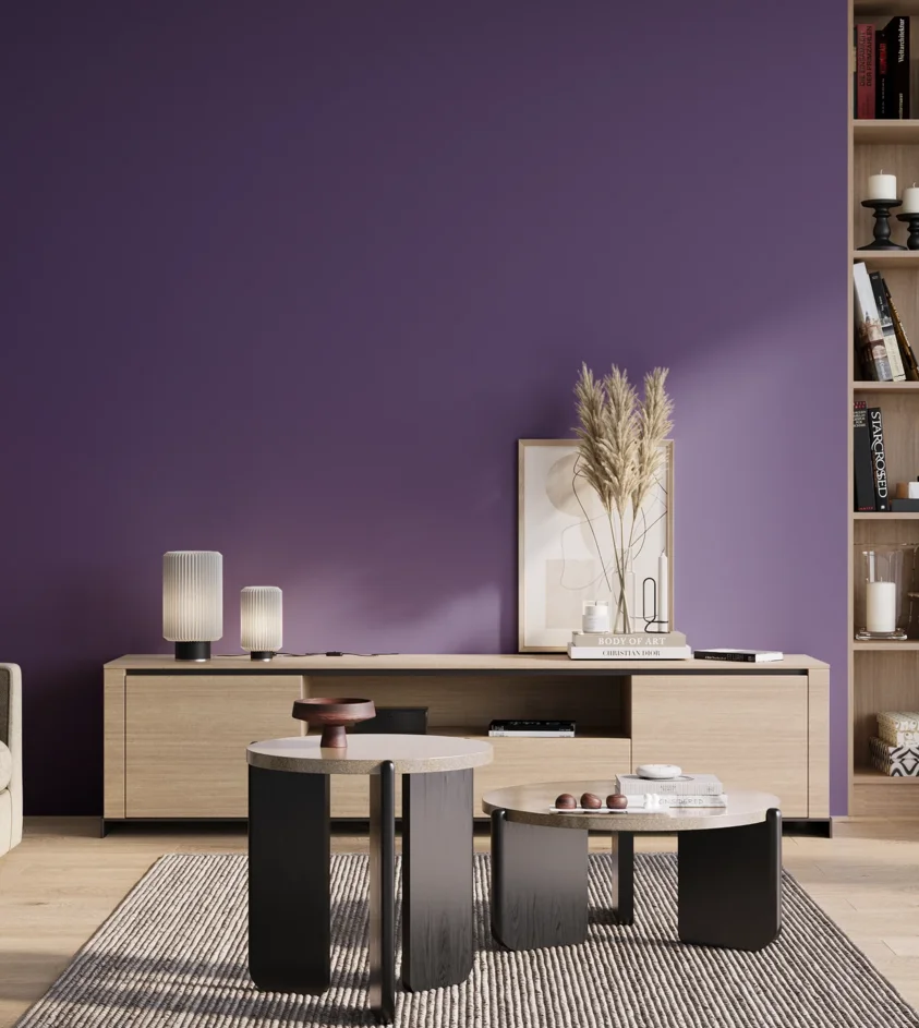 P10_SNIEZKA_salon_01_poranek_GREY_S4050-R60B